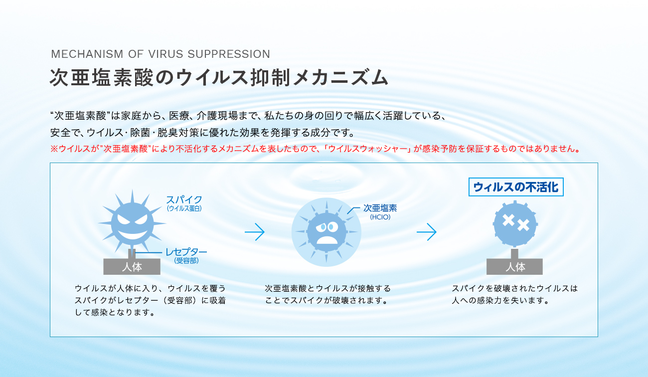 次亜塩素酸のウイルス抑制メカニズム